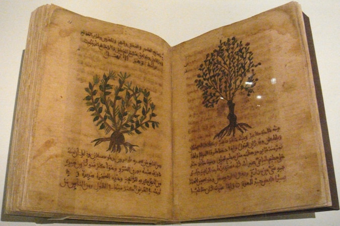 recetario herbolario arabe